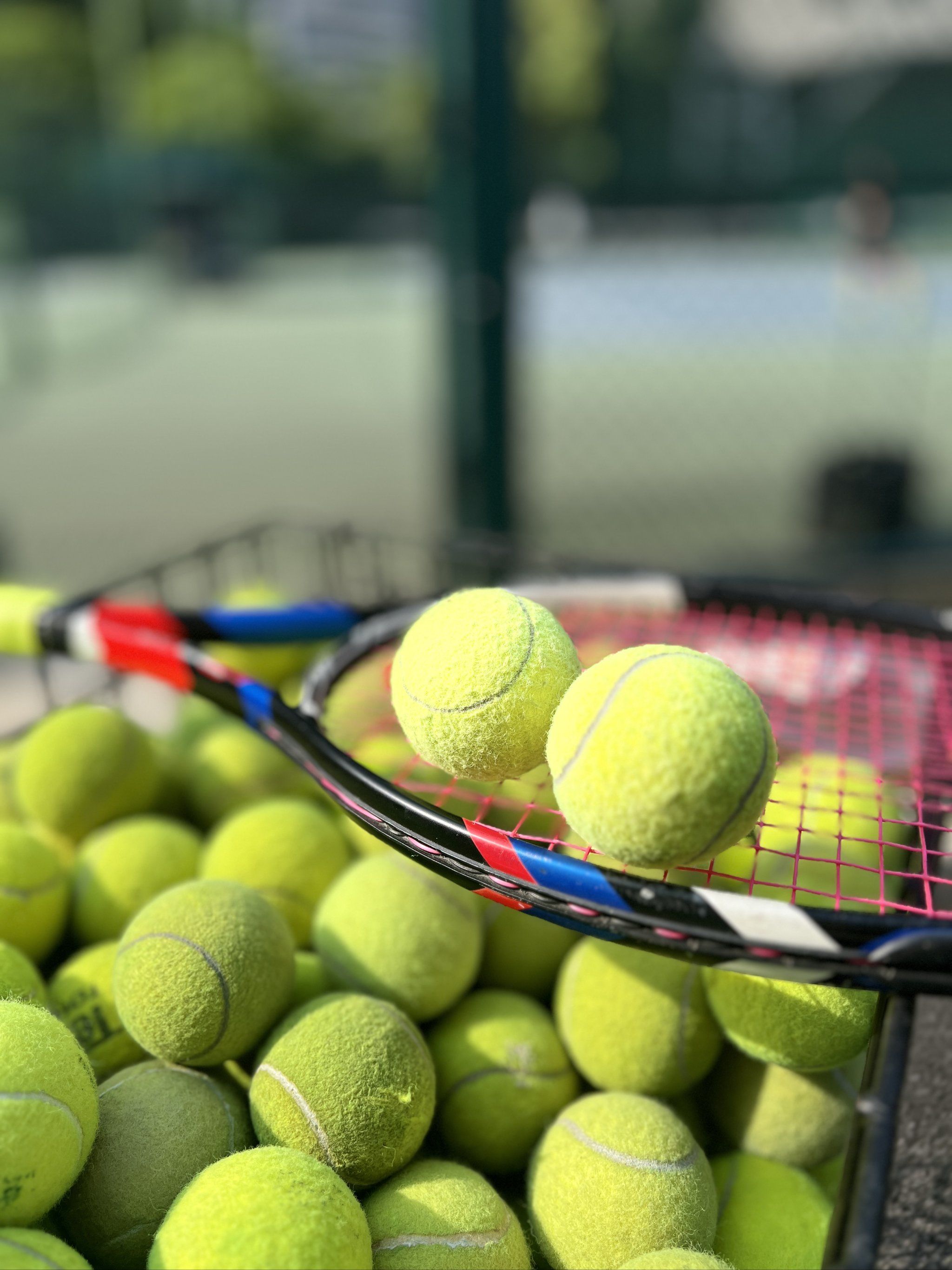 加盟的新球 加盟的新球