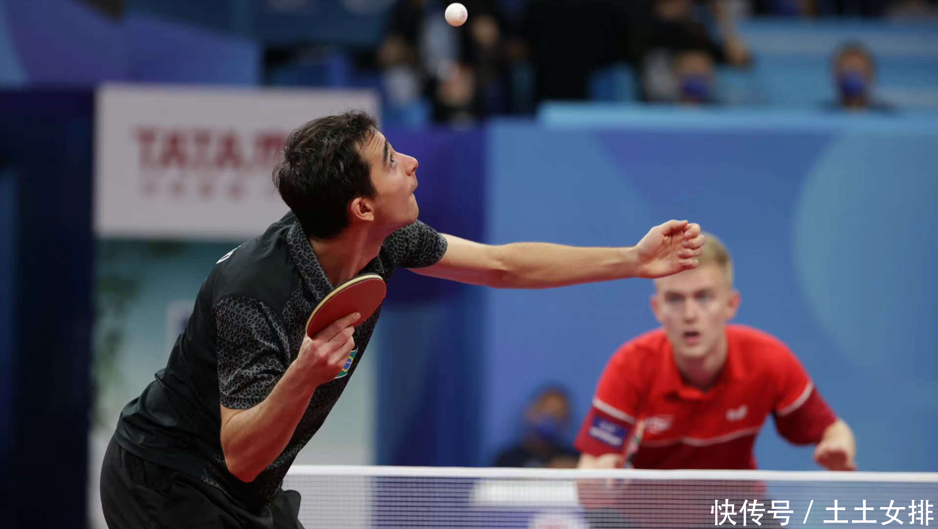 长达十余年 长达十余年